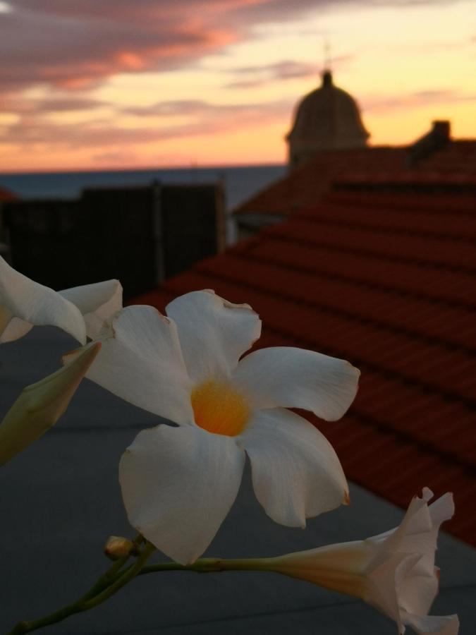 Hotel Bouquet di Note à Cervo Extérieur photo